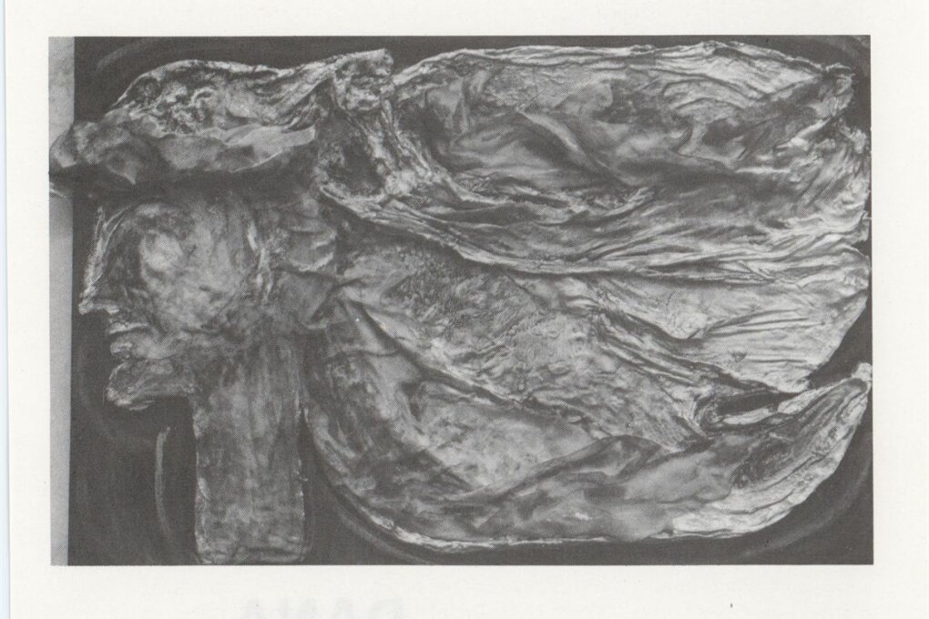 Dana Marková – plastiky